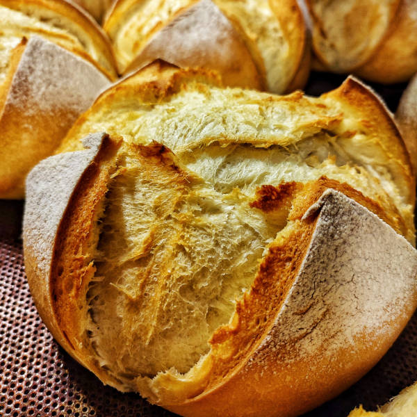 il nostro pane, panificio pane e Bonta